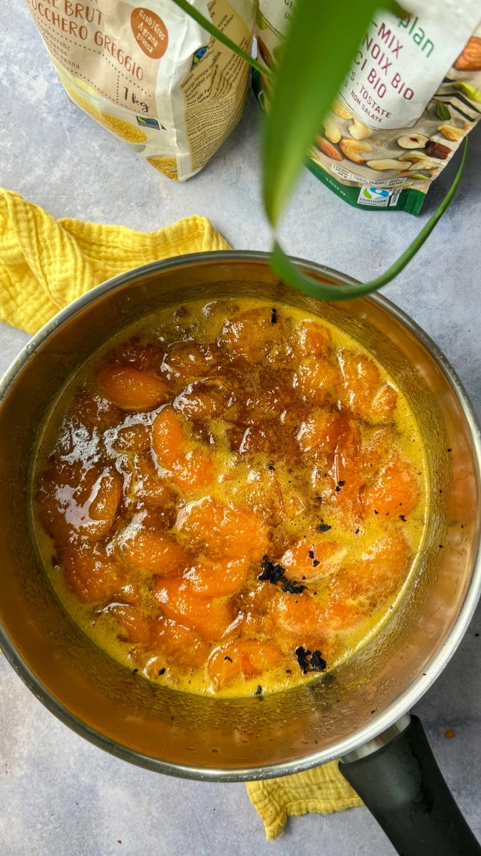 Knusper-Aprikosen Tofu 