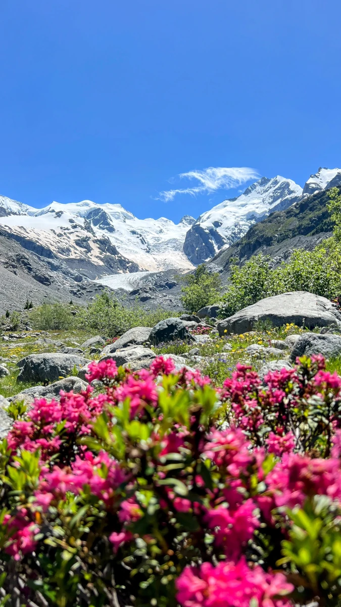 Moreratsch Gletscher